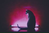 Аліса Баришівська фотография #20 (источник - https://vk.com/id33920186)