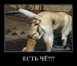 Александр Касапенко фотография #40 (источник - https://vk.com/id10534896)