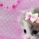 Іруся Потапова фотография #17 (источник - https://vk.com/id149239995)