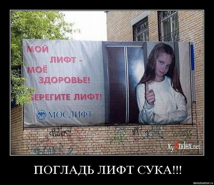 Дмитрий Евгеньевич фото №7