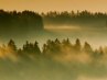 Інна Константінова фотография #3 (источник - https://vk.com/id102207750)