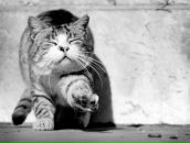 Ліля Кузік фотография #44 (источник - https://vk.com/id10807146)