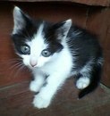 Діана Ставка фотография #39 (источник - https://vk.com/id166687039)
