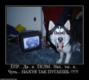Фотография Пронькина Юлия