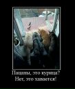 Юліанна Онуфреїв фотография #40 (источник - https://vk.com/id32506451)