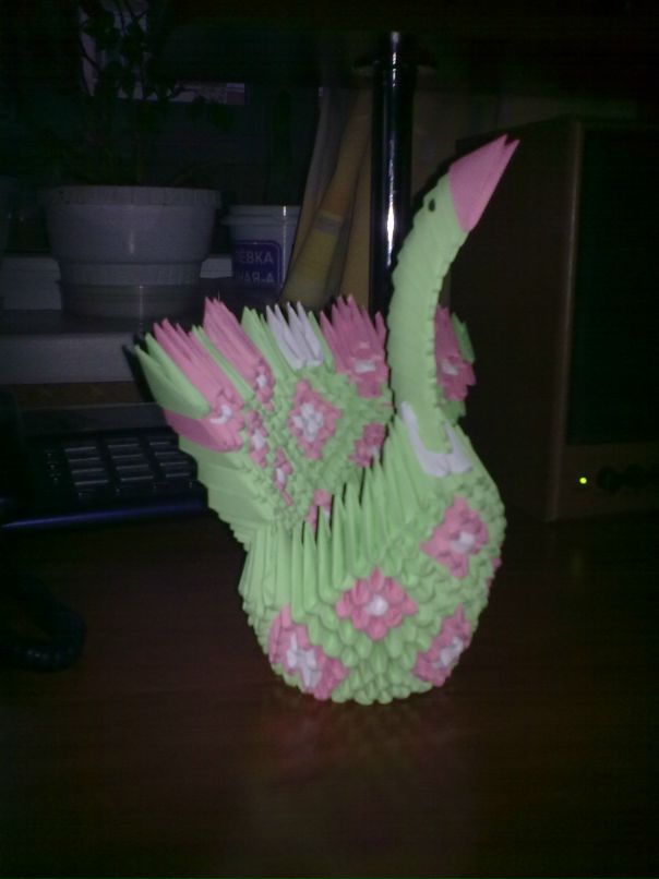 Дмитрий Иванов фотография #33