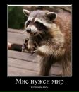 Фотография Царёва Дмитрия