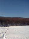 Андрій Жук фотография #15 (источник - https://vk.com/id41747202)