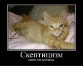 Фотография Курлеева Олега