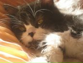 Фотография Грезевой Татьяны