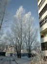 Артем Гульченко фотография #48 (источник - https://vk.com/id87594017)