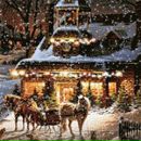 Фотография Кинолог-Зоопсихолог Ольги Некрасовы