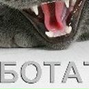 Оля Бондарчук--Варшавець фотография #41 (источник - https://vk.com/id52409522)