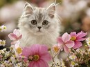Машуня ♥♥♥♥♥♥ фотография #22 (источник - https://vk.com/id150639909)