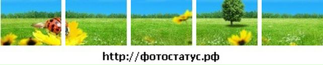 Βиталий Κовалев фотография #32 (источник - https://vk.com/id135221150)