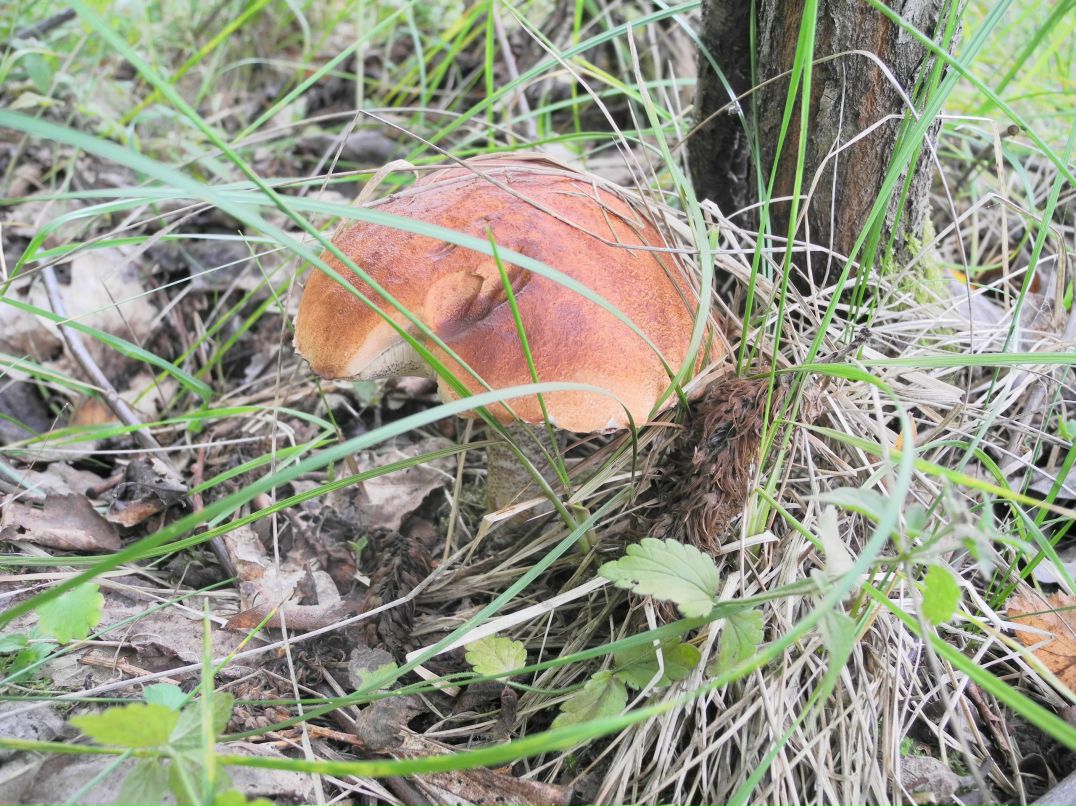 Илья Маслов фотография #49