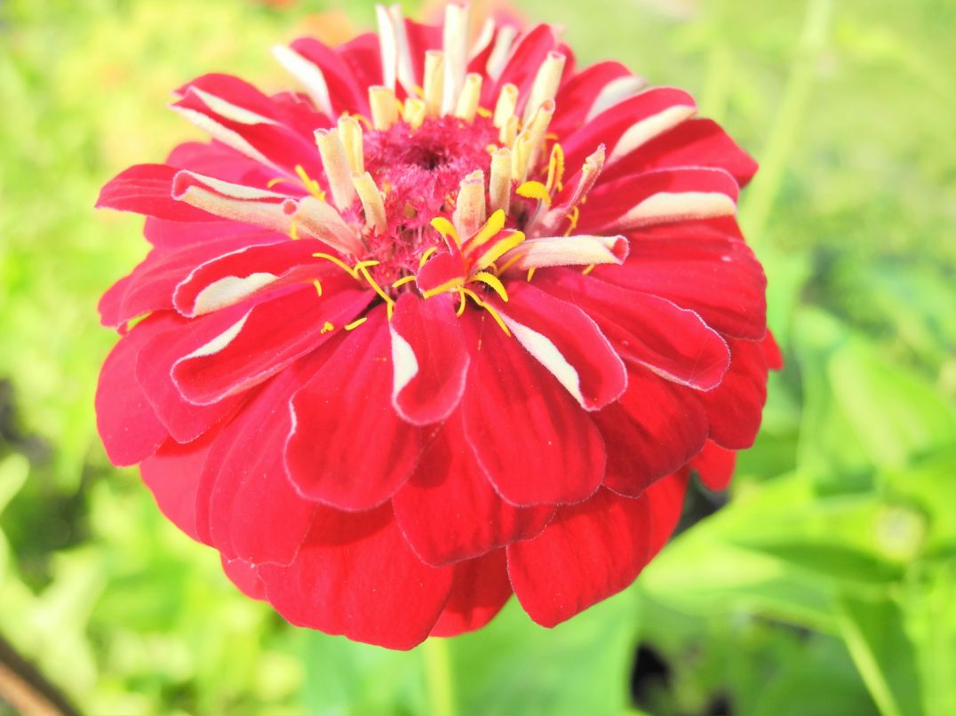 Илья Маслов фотография #41