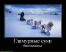 Віталій Федчук фотография #35 (источник - https://vk.com/id40806119)