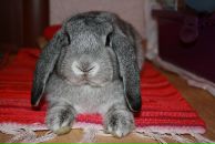 Фотография Риос Ларисы