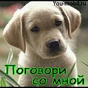 Міша Романюк фотография #37 (источник - https://vk.com/id80403807)