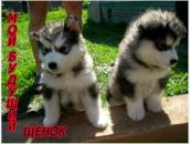 Фотография Томилова Александра