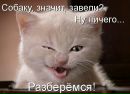 Фотография Bond Dariya