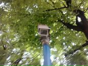 Фотография Золоторева Евгения