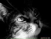 Фотография Мальцевой Даши