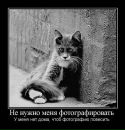 Любомир Любахін фотография #49 (источник - https://vk.com/id15903750)