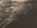 Олічка Логвиненко фотография #18 (источник - https://vk.com/id133320344)