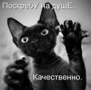 Фотография Новиковой Марии