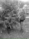 Андріана Ливка фотография #1