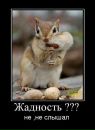 Ігарьоха Никорак фотография #19 (источник - https://vk.com/id22849783)