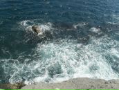 Наташенька Місюкевич фотография #24 (источник - https://vk.com/id94379522)