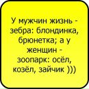 Ірина Слюсар фотография #29 (источник - https://vk.com/id63298848)