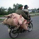 Олесічка Бачинська фотография #28 (источник - https://vk.com/id82414703)