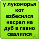 Вітя Гусак фотография #22 (источник - https://vk.com/id129557836)