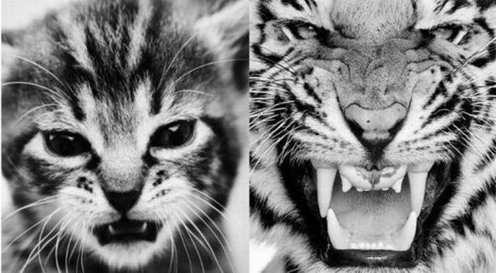 Юрий Герасимов фотография #32