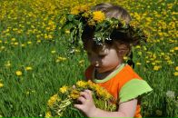 Константин Милёшкин фотография #37 (источник - https://vk.com/id1940844)