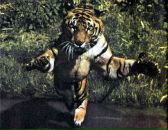 Фотография Богданова Андрея