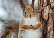 Фотография Кудинова Дмитрия