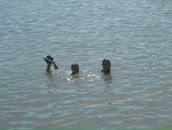 Богдан Сітарський фотография #41 (источник - https://vk.com/id64854310)