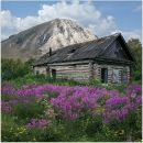 Фотография Галиахметова Вадима