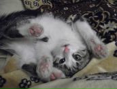 Фотография Igorevna Alina