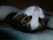 Фотография Горшениной Елены