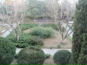 Фотография Shelivalnik Dima