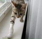 Фотография Дугиной Екатерины