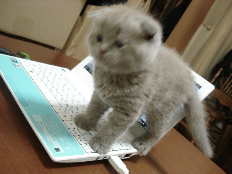 Милана Умарова фотография #12