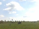 Андрій Абрамчук фотография #50 (источник - https://vk.com/id29152680)