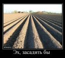 Фотография Мильшина Алексея